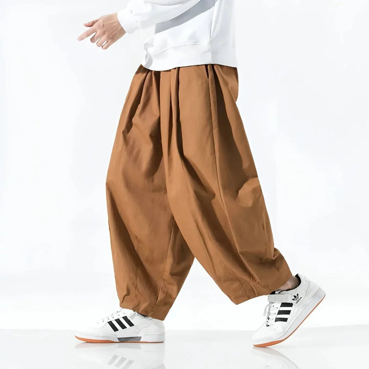LS | Elliott Oversized Pleated Cotton Pants