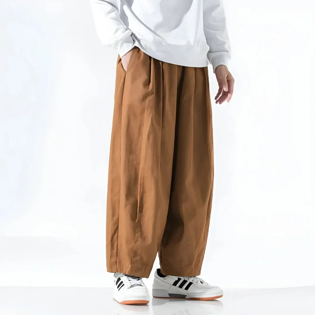 LS | Elliott Oversized Pleated Cotton Pants
