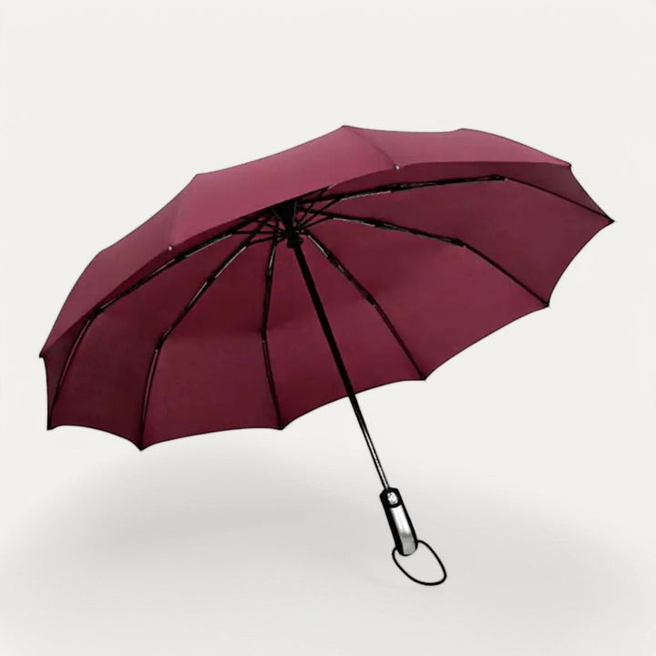 Windproof Handheld Umbrella